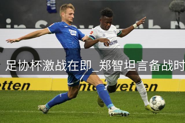 足协杯激战在即 郑智坦言备战时间紧迫盼突破